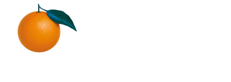 Fondazione Oro6